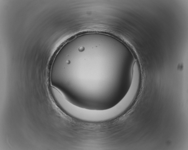 X0000115101085200911171235