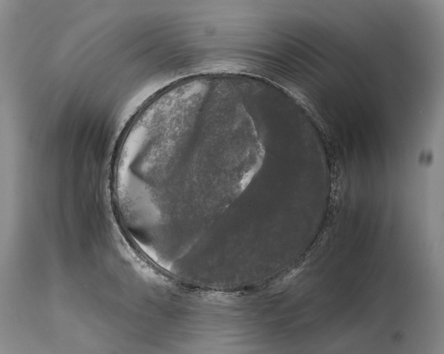 X0000115101086200911171235