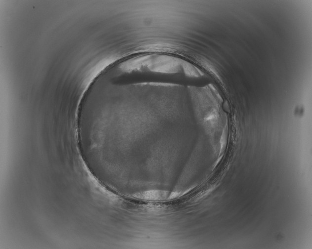 X0000115101087200911171235