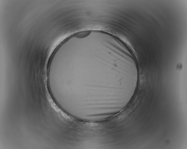 X0000115101088200911171235