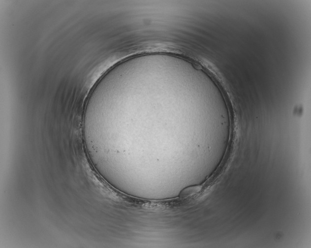 X0000115101089200911171235