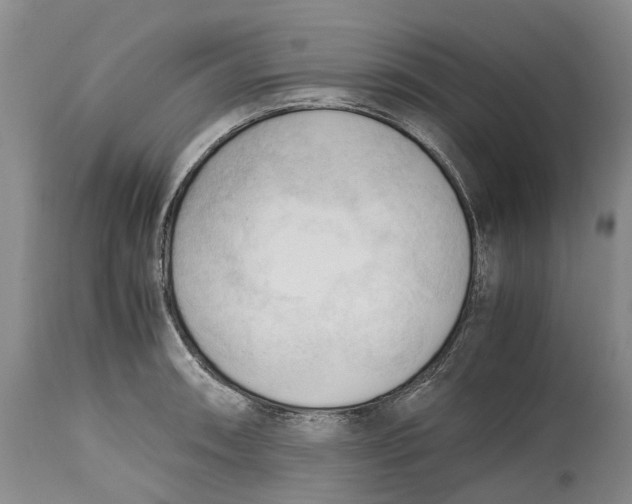 X0000115101090200911171235