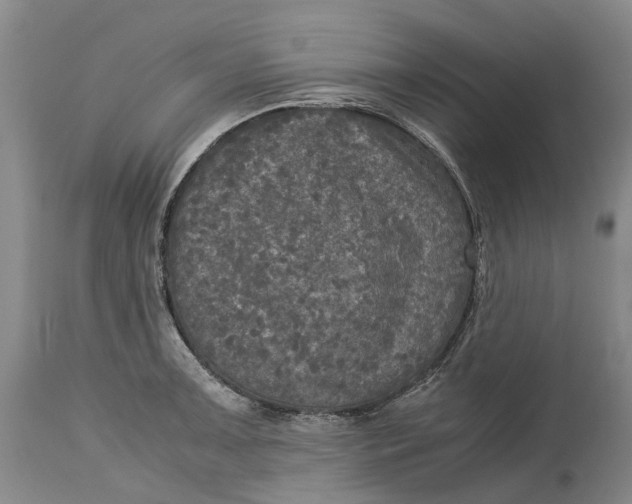 X0000115101091200911171235