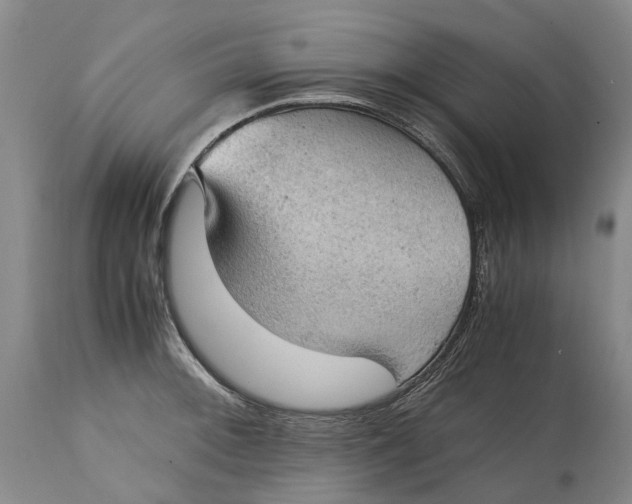 X0000115101092200911171235