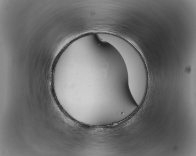 X0000115101093200911171235