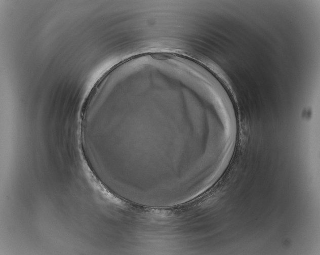 X0000115101096200911171235