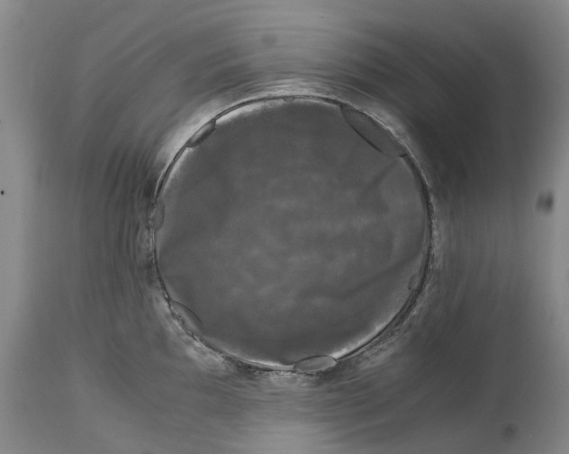 X0000115101097200911171235