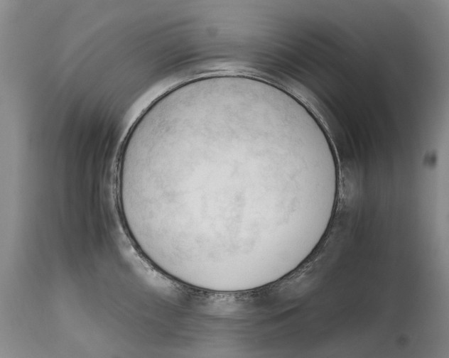 X0000115101098200911171235