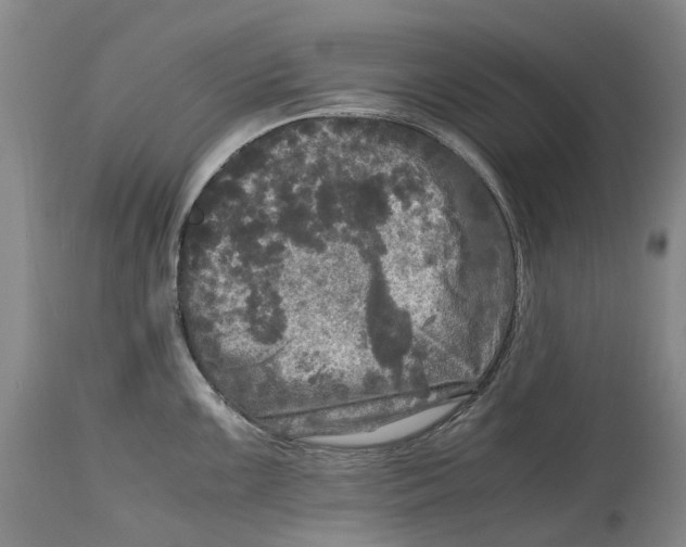 X0000115101099200911171235