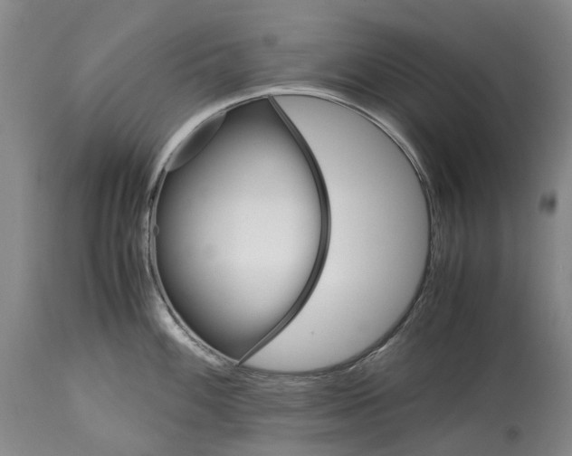 X0000115101100200911171235