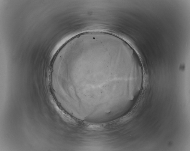 X0000115101101200911171235