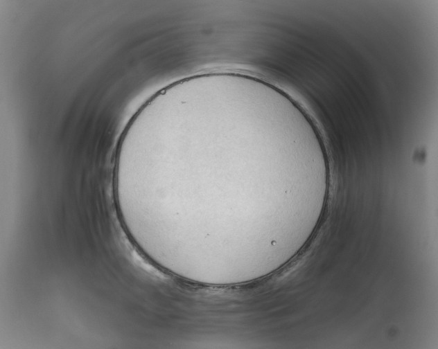 X0000115101102200911171234