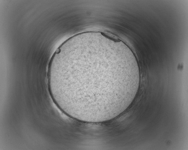 X0000115101103200911171234