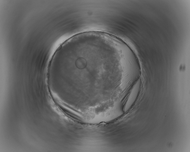 X0000115101104200911171234