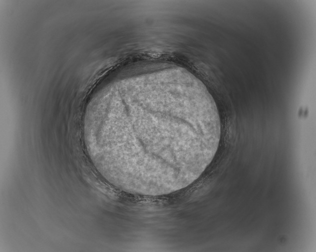 X0000115101105200911171234