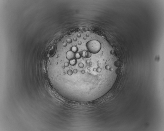 X0000115101106200911171234