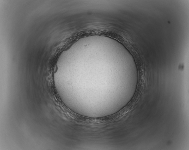 X0000115101109200911171234