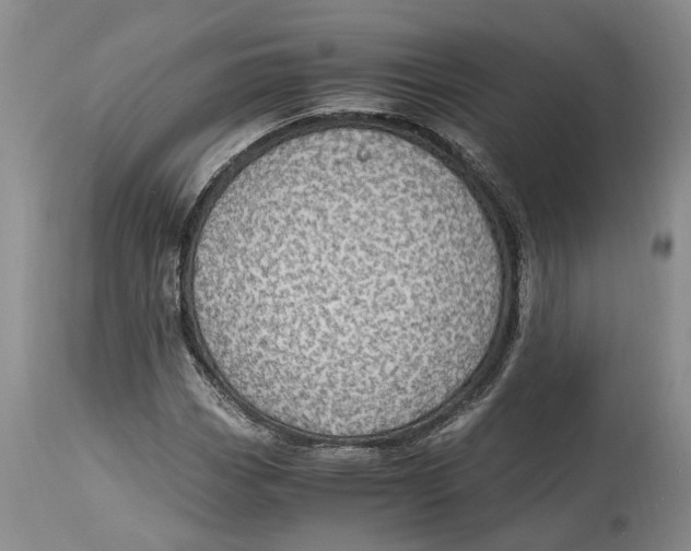 X0000115101113200911171234