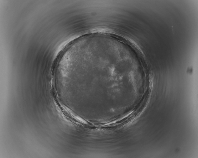 X0000115101117200911171234