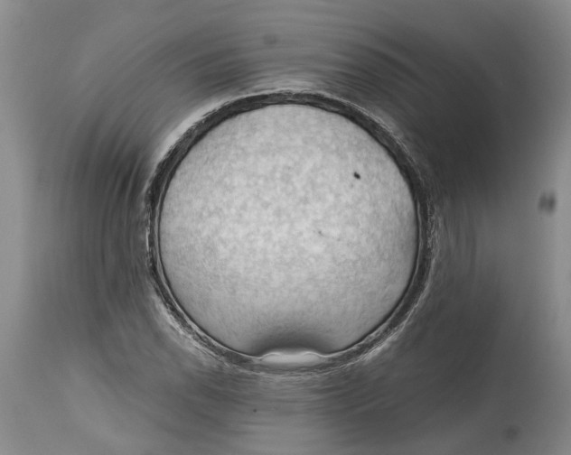 X0000115101118200911171234