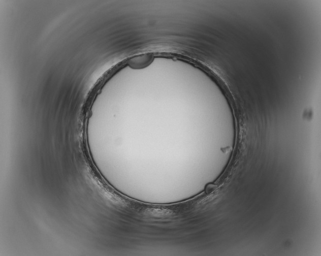 X0000115101119200911171234