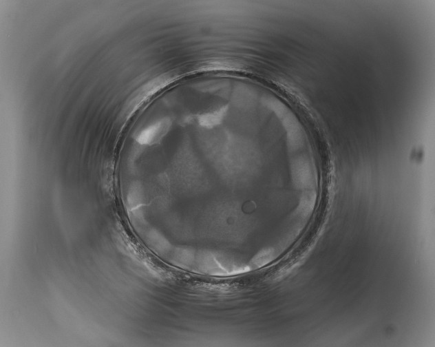 X0000115101121200911171234