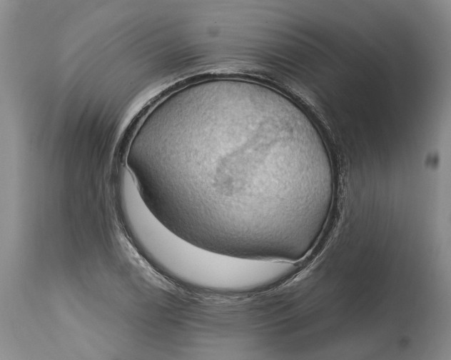 X0000115101122200911171234