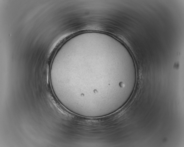 X0000115101123200911171234