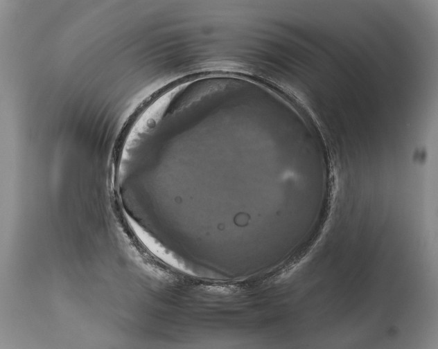 X0000115101125200911171234