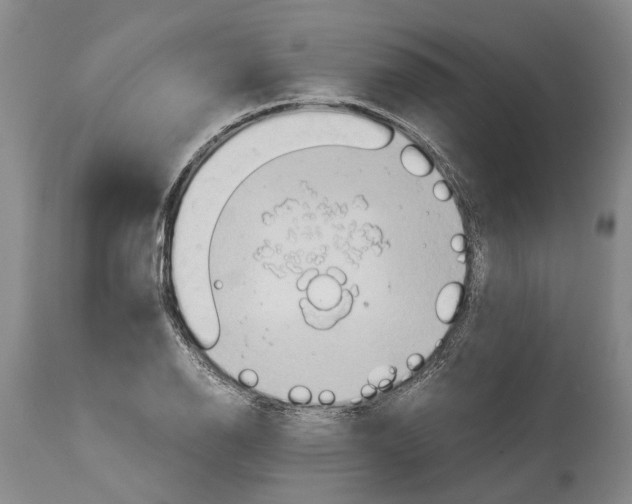 X0000115101126200911171234