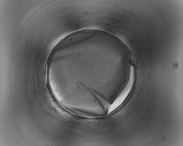 X0000115101127200911171234