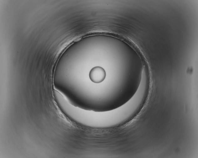 X0000115101129200911171234