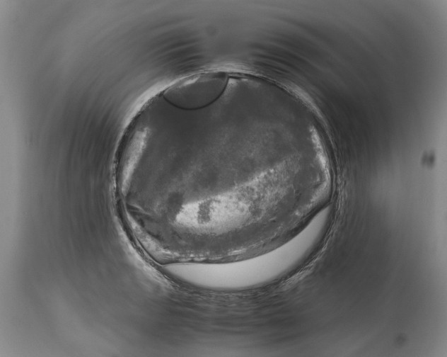 X0000115101133200911171234