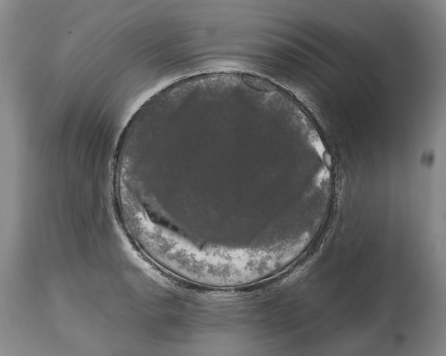 X0000115101134200911171234