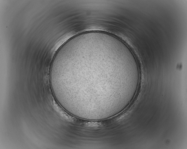 X0000115101137200911171234