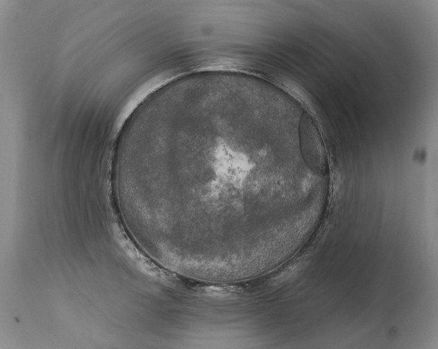 X0000115101138200911171234