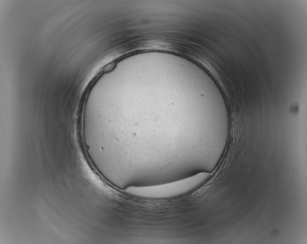 X0000115101139200911171234