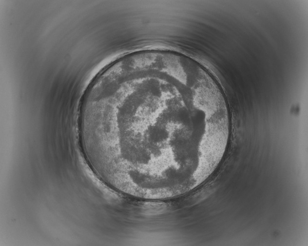 X0000115101142200911171234