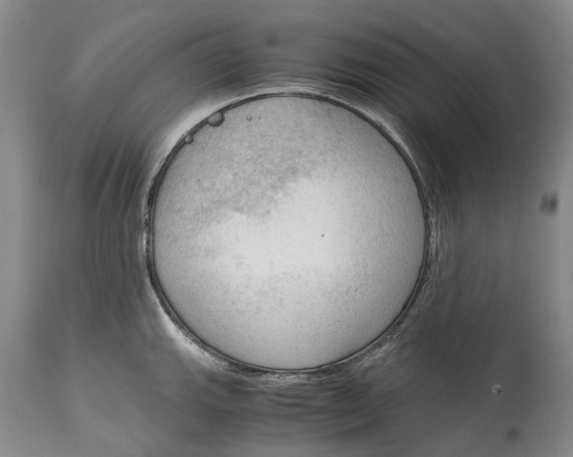 X0000115101143200911171234