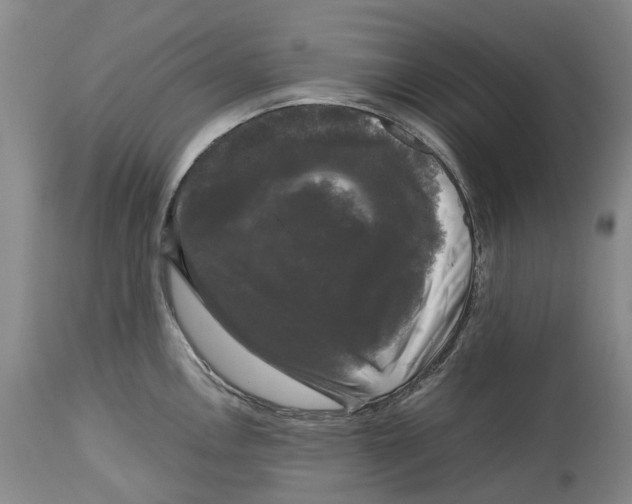 X0000115101146200911171234