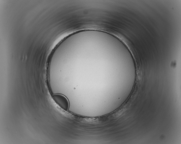 X0000115101147200911171234