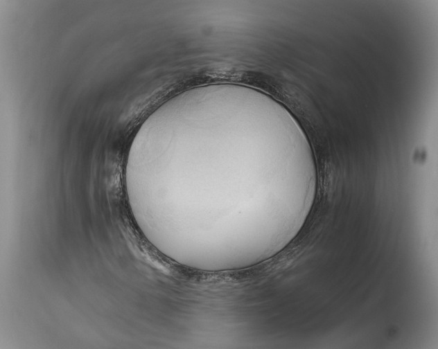 X0000115101154200911171234