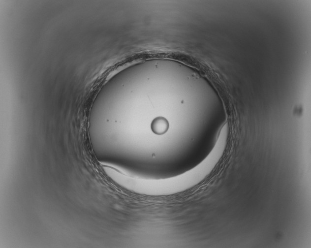 X0000115101157200911171234