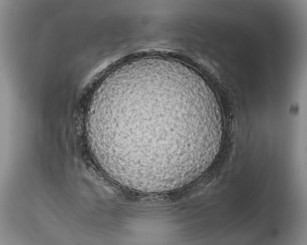 X0000115101159200911171234