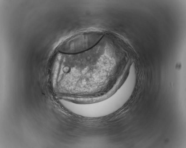 X0000115101160200911171234