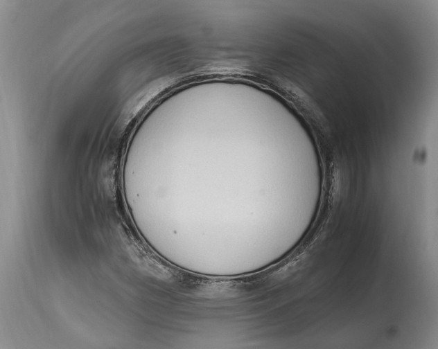 X0000115101162200911171233