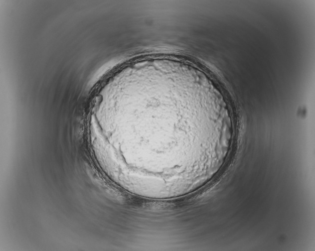 X0000115101163200911171233