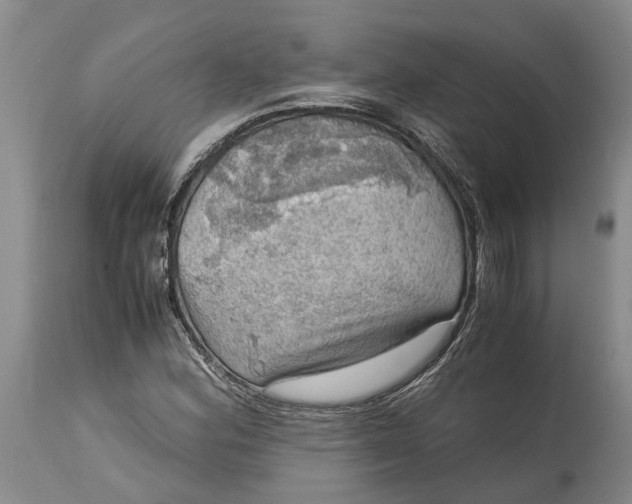 X0000115101164200911171233