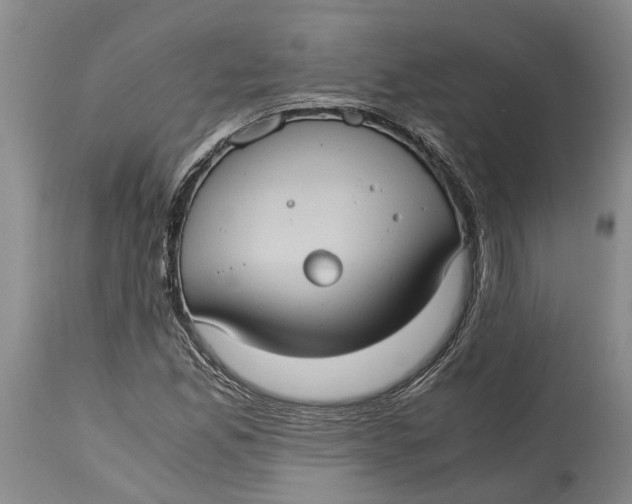 X0000115101165200911171233