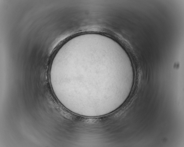 X0000115101166200911171233